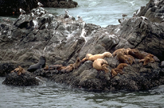 Golden Gate National Recreation Area