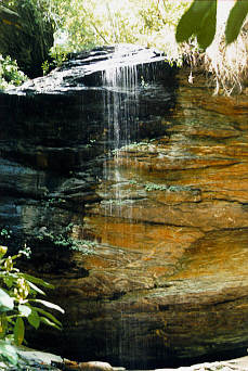 Moore Cove Falls, Transylvania County North Carolina