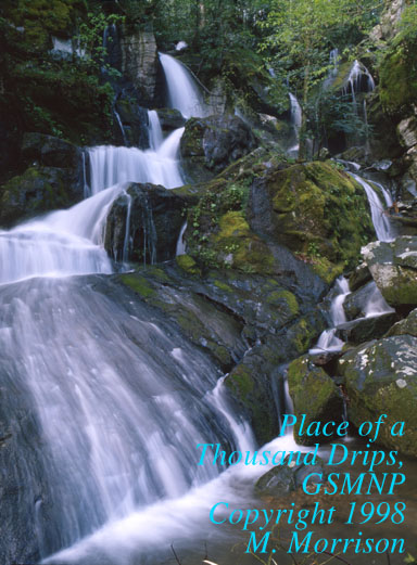 Place of a Thousand Dips, Great Smoky Mountain National Park
