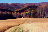 Cades Cove, Great Smoky Mountain National Park. Mountain Travel Guide.com Photo