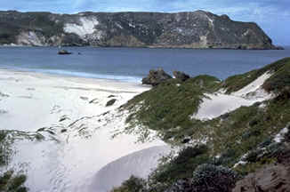 Channel Island National Park