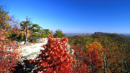 Cook's Wall Trail