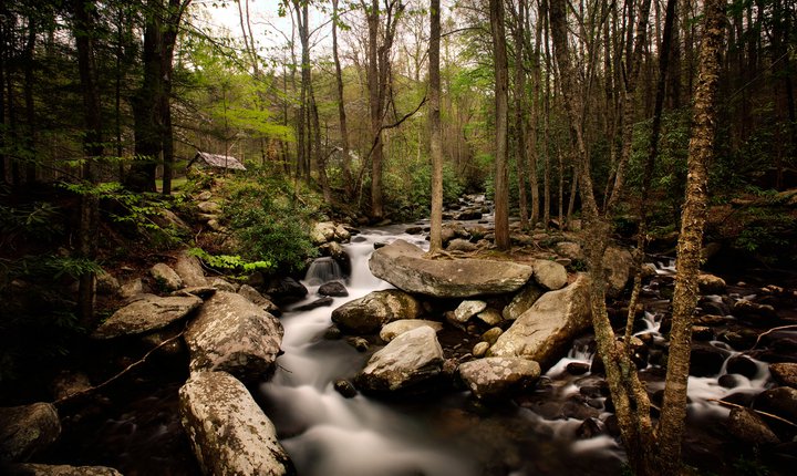 Roaring Fork Motor Nature Trail