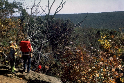Catoctin Mountain Park