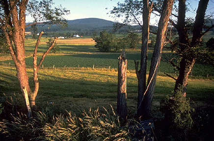 Catoctin Mountain Park