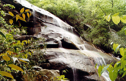 Daniel Ridge Falls, Transylvania County North Carolina
