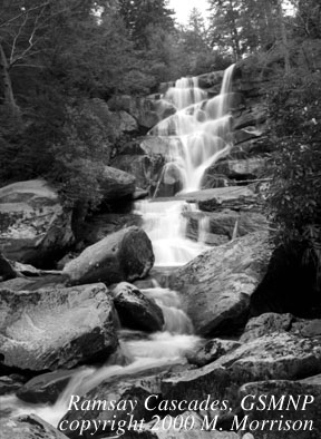 Ramsay Cascade, GSMNP