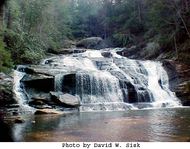 Panther Creek Falls