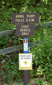 Anna Ruby Falls