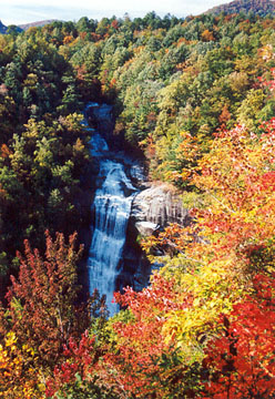 Lower Whitewater Falls
