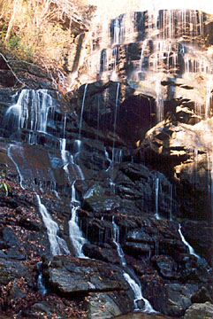 Yellow Branch Falls