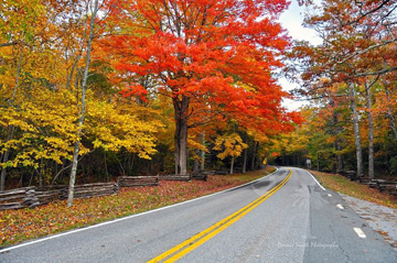 Pisgah National Forest, Hwy 276 Brevard, NC