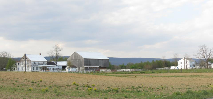 Amish Farm