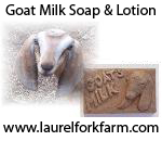 Goat Milk Soap & Lotion